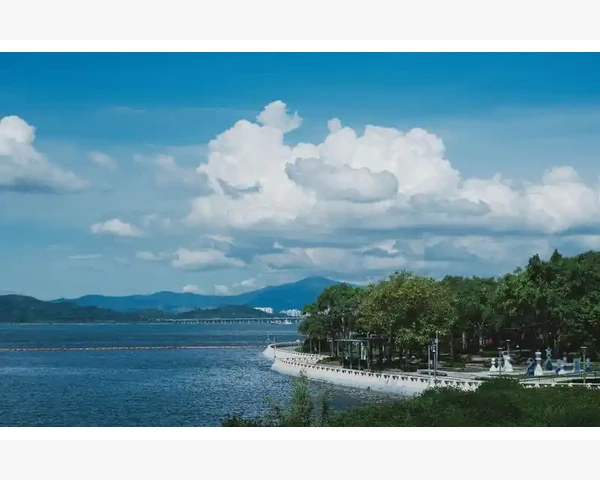 苹果手机止咳化痰，中医秘方揭密