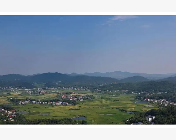 厌食症是脾胃不好吗？